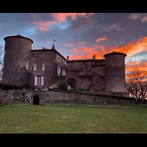 chateau-de-montcuquet.midi-pyreneeshotels.com/